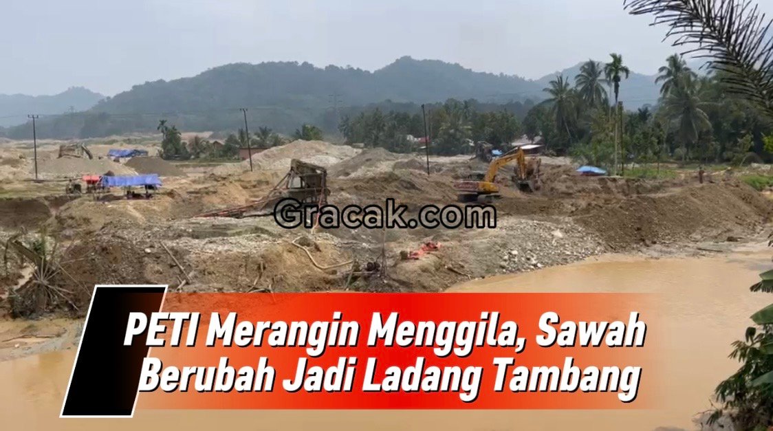 PETI Merangin Menggila, Sawah Berubah Jadi Ladang Tambang