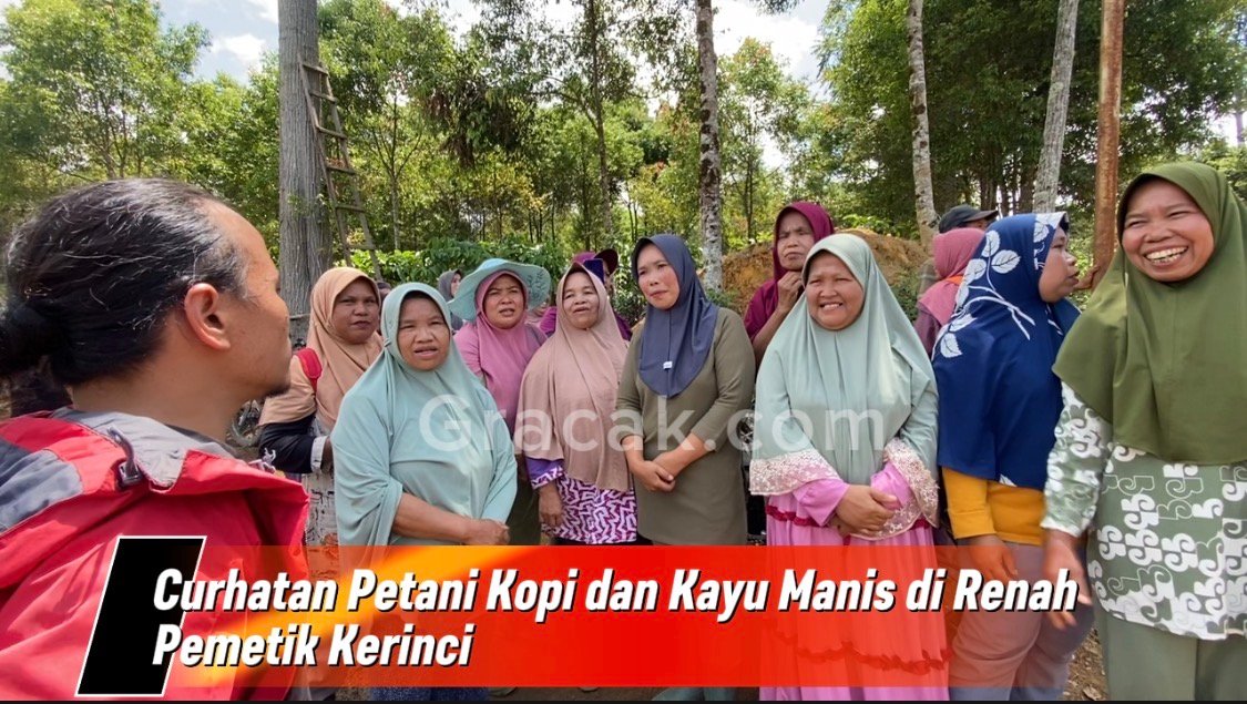 Curhatan Petani Kopi dan Kayu Manis di Renah Pemetik Kerinci Terhadap Kondisi Jalan 