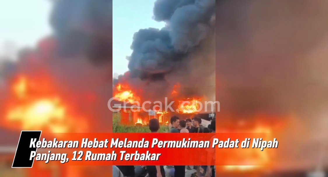 Kebakaran Hebat Melanda Permukiman Padat di Nipah Panjang, 12 Rumah Terbakar