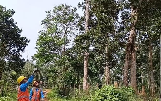 Warga Menduga Kabel Jaringan PLN di Jambi Dicuri, Puluhan Rumah Alami Pemadaman Listrik