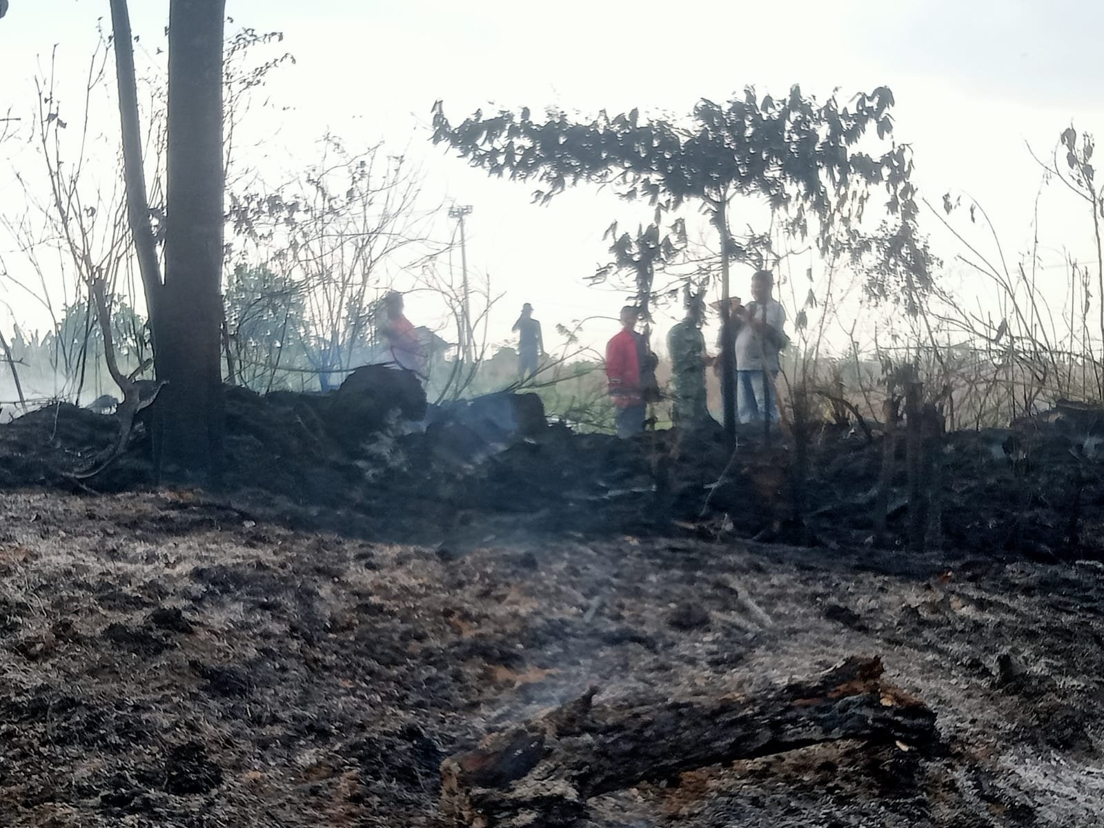Lahan Dekat Sekolah Rakyat di Jambi Terbakar