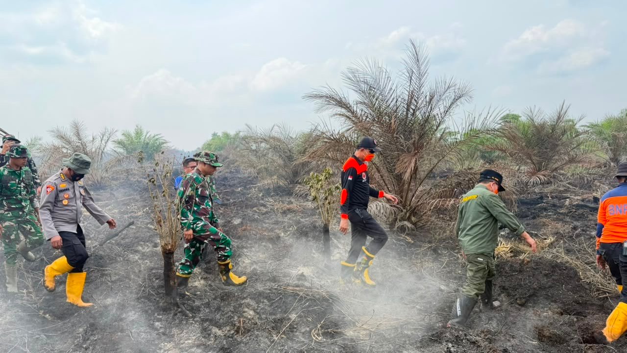 Karhutla Jambi Meningkat, 137 Hektare Lahan Terbakar hingga Juni