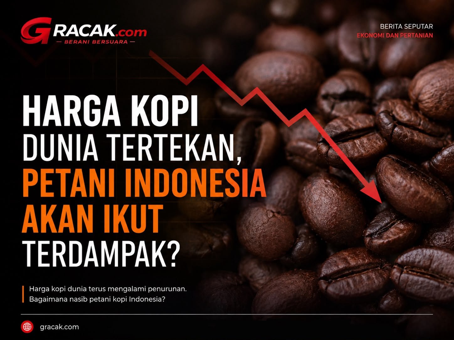 Harga Kopi Dunia Mulai Tertekan, Petani Indonesia Siap Hadapi Dampaknya?