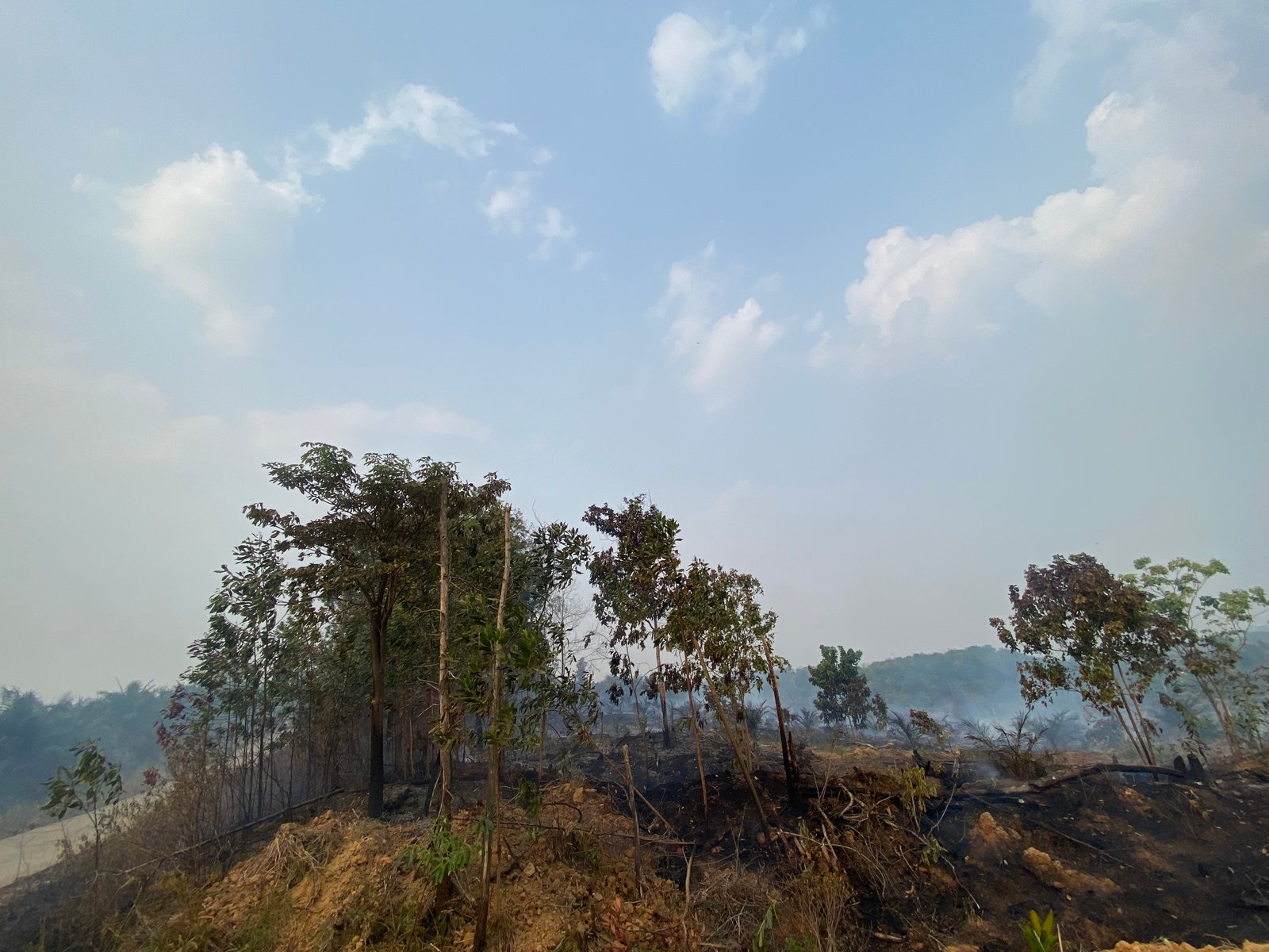 Kawasan Tahura Sultan Thaha Jambi Masih Terbakar, Titik Api Terus Bermunculan