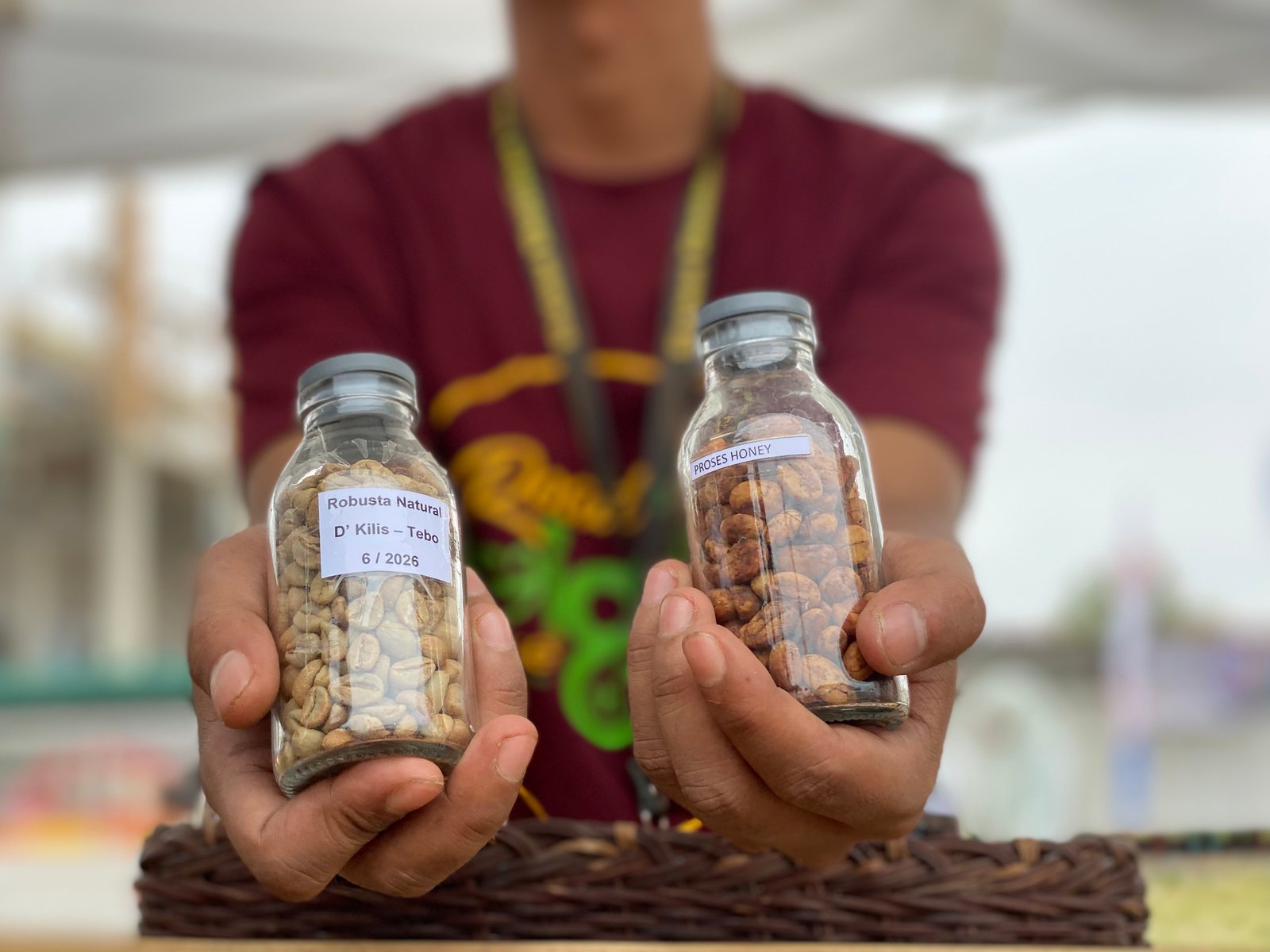 Bukan Sawit, Petani Tebo Kini Pilih Kopi Robusta karena Permintaan Tinggi