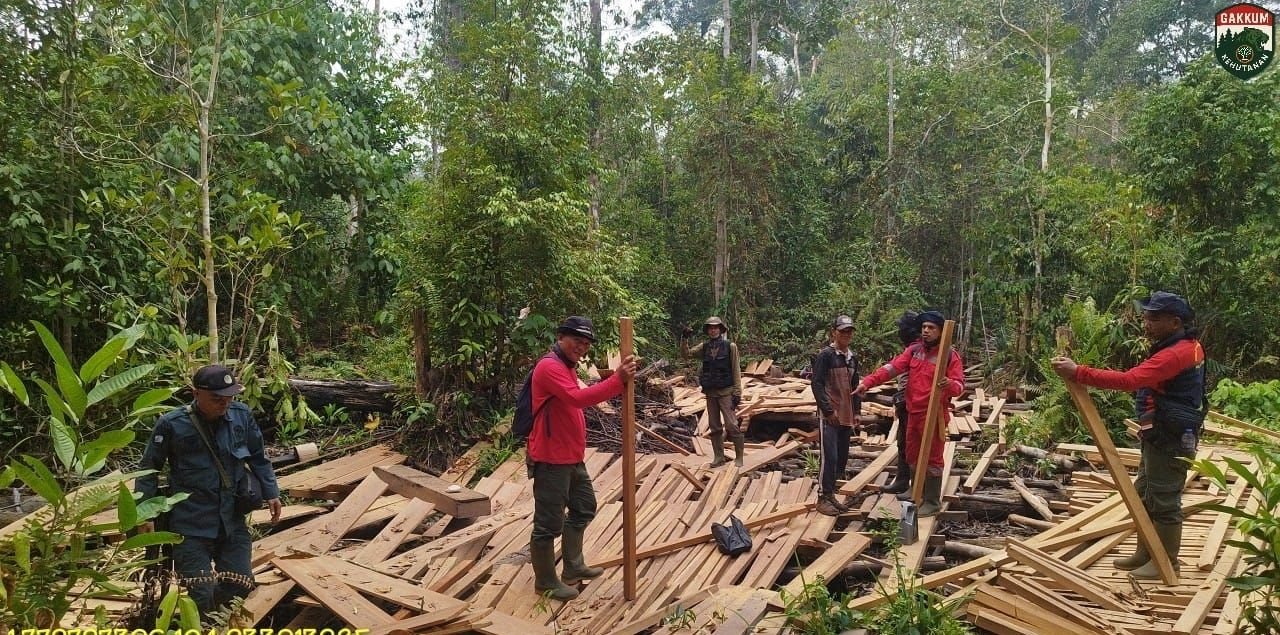 316 Batang Kayu dan Rel 1 Kilometer Dimusnahkan di TN Berbak dan Sembilang